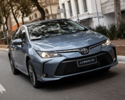 Corolla frente