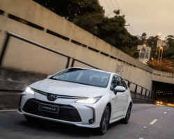 Corolla frente