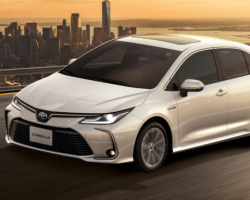 Corolla completo